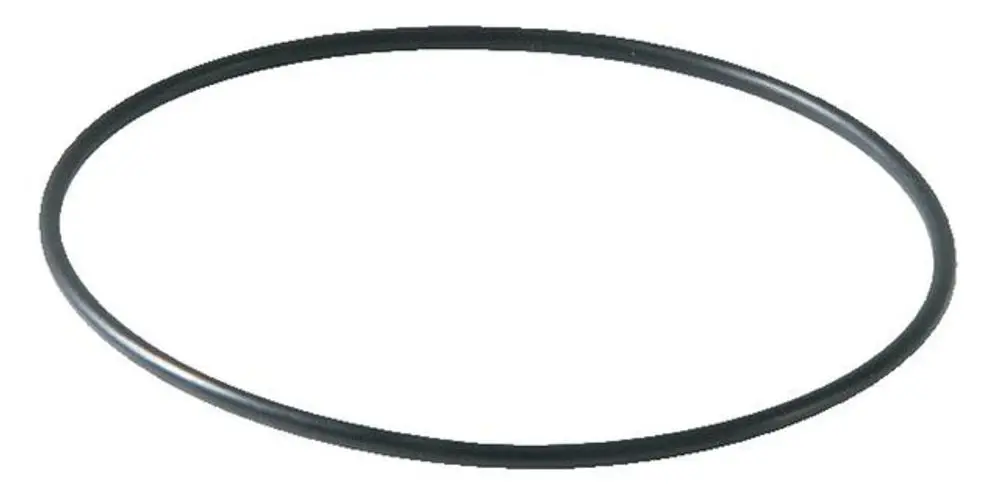 Schwarzer O-Ring, rund, aus elastischem Material, geeignet für verschiedene Anwendungen, möglicherweise als Ersatzteil von Syr für Filtertassen.